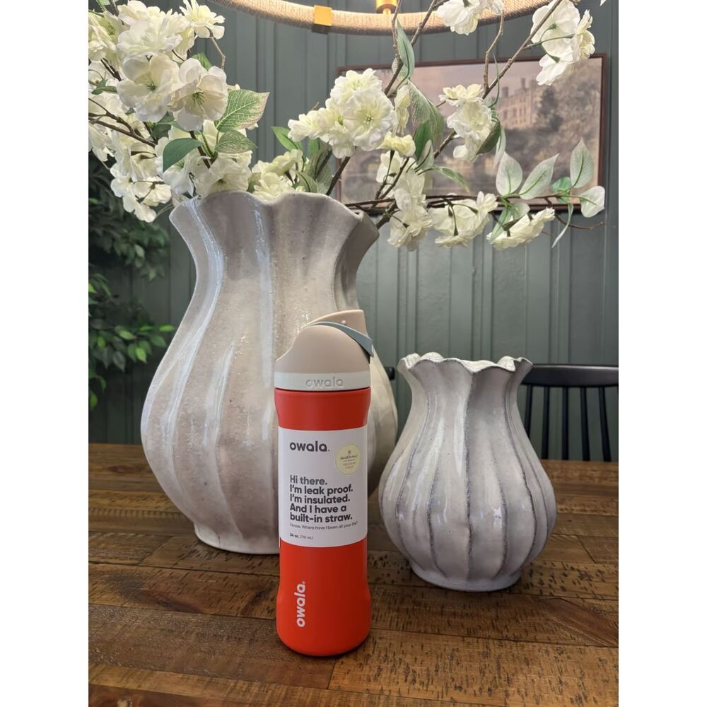 Owala x Hearth & Hand 24 oz FreeSip Tumbler Fruit Tart Orange Limited Edition